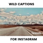 Wild Captions For Instagram