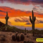 Desert Sunset Captions For Instagram