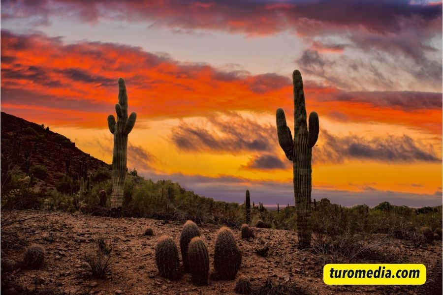 Desert Sunset Captions For Instagram