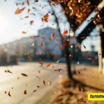 Falling Leaves Captions