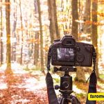Nature Photography Captions For Instagram