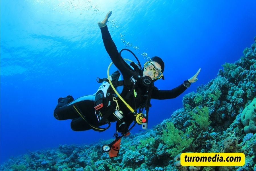 First Time Scuba Diving Captions