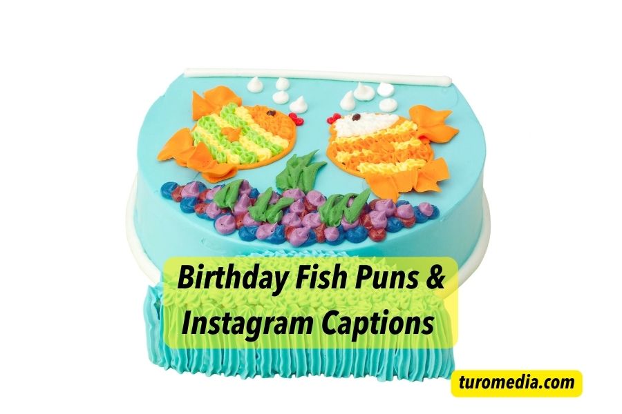 Birthday Fish Puns