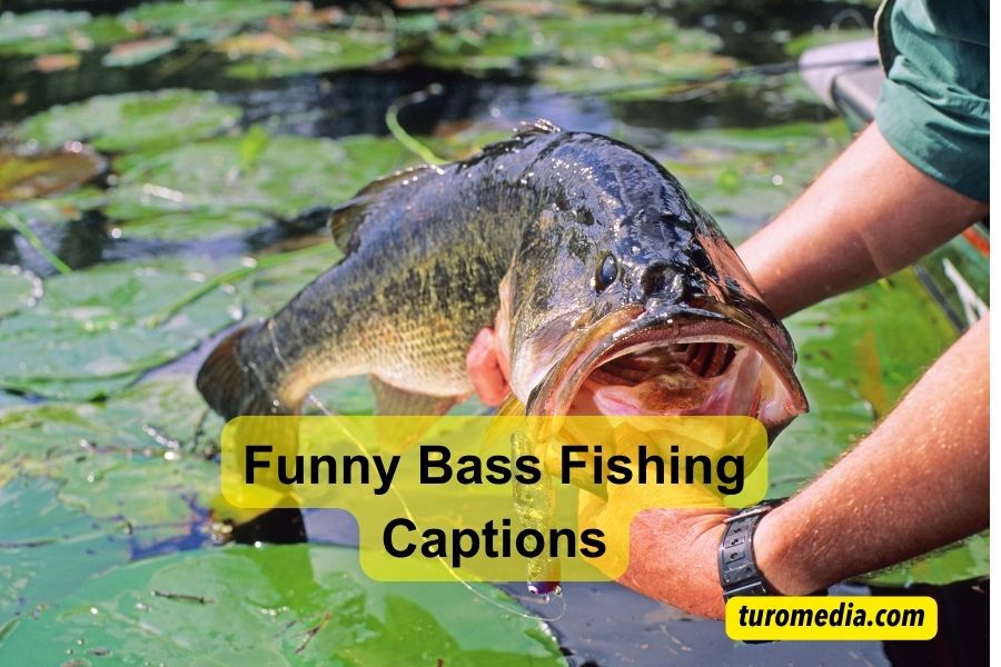 Funny Bass Fishing Captions