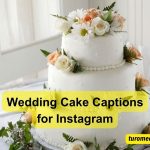 Wedding Cake Captions for Instagram