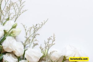 White Flowers Quotes for Instagram