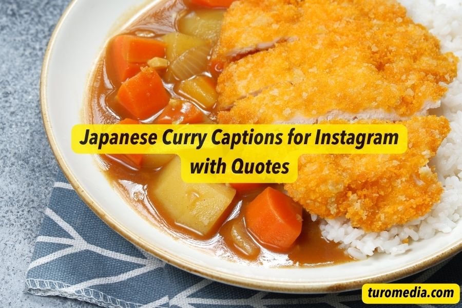 Japanese Curry Captions for Instagram
