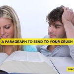 A Paragraph to Send to Your Crush